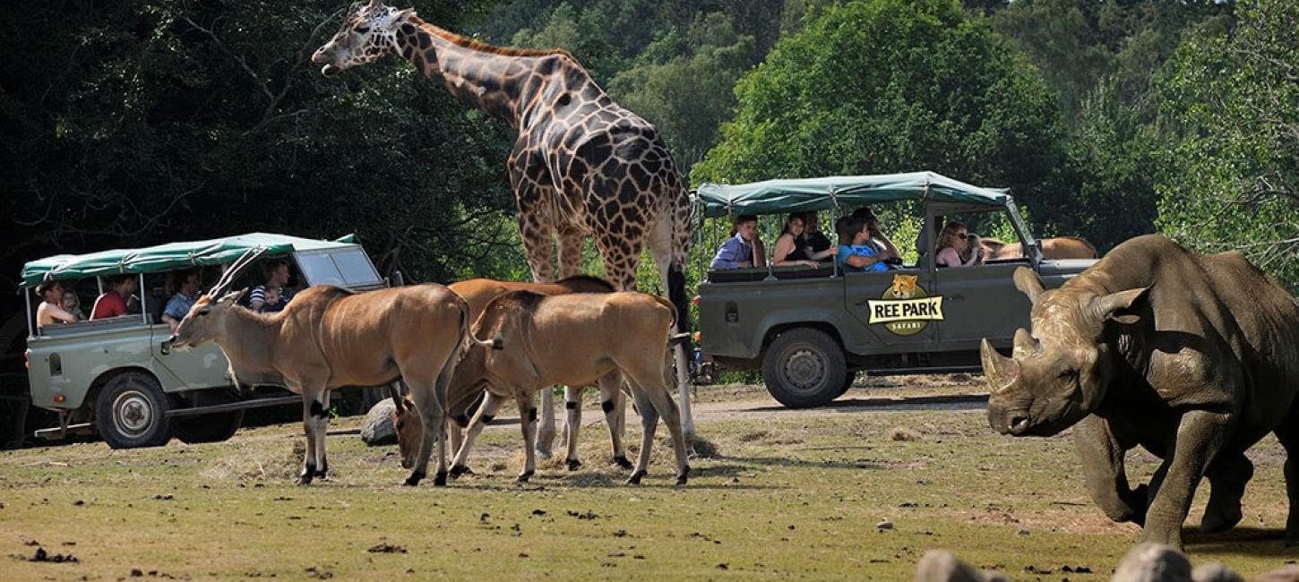 Ree Park Safari