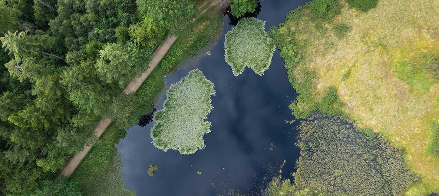 Vandring i Undallslund ved Viborg