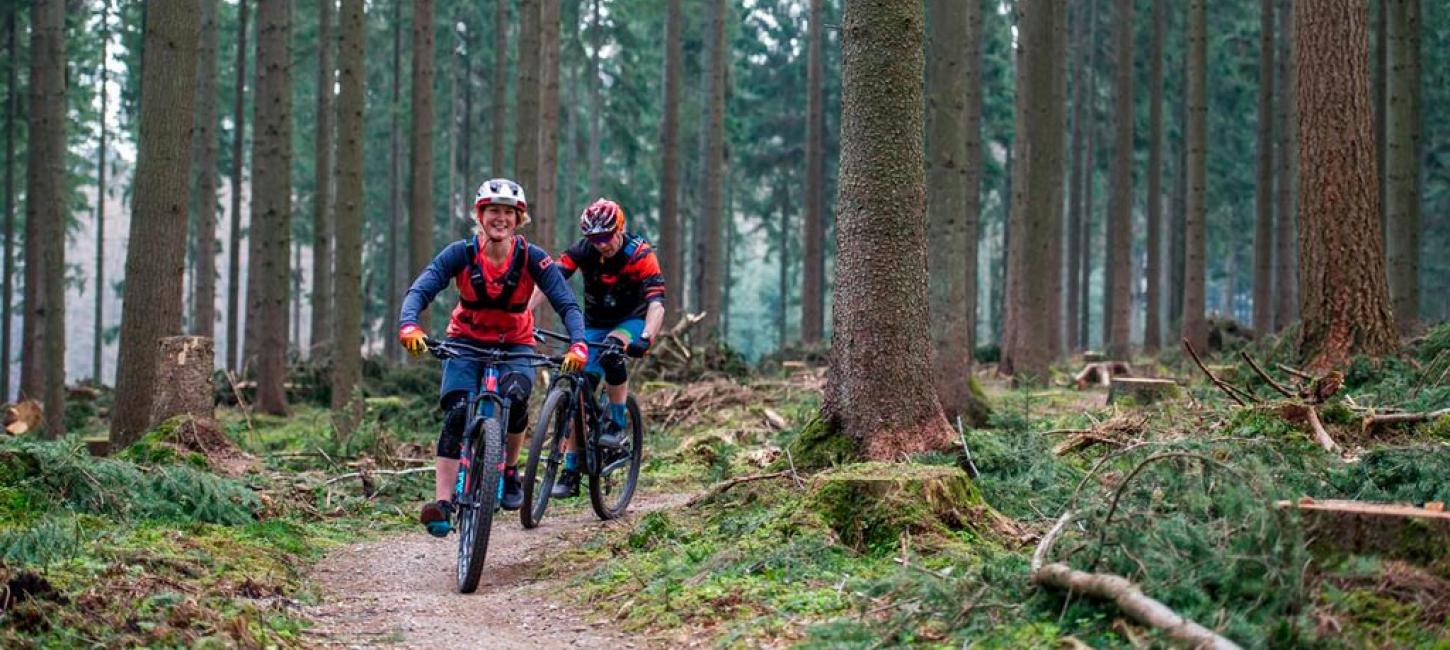 MTB gennem grandskov i Søhøjlandet