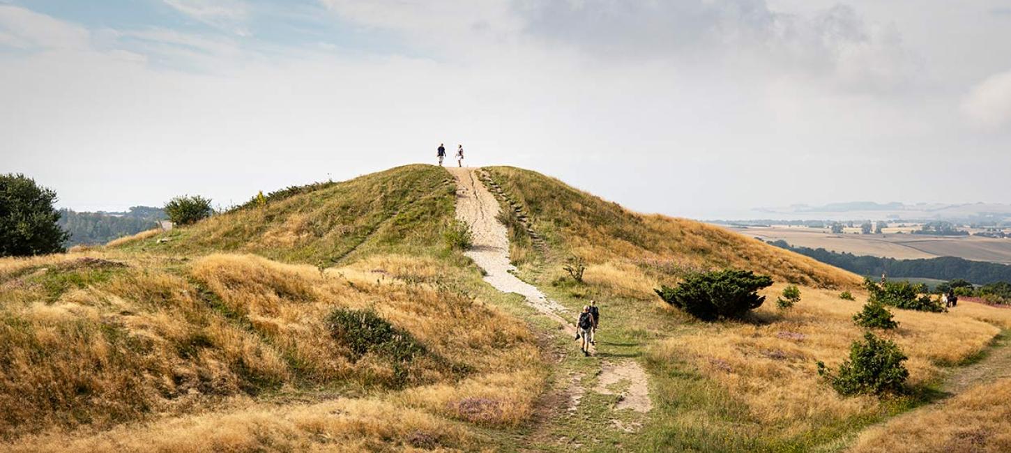 Trehøje i Mols Bjerge på Djursland