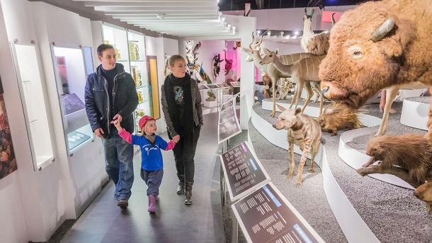 Familie på Naturhistorisk Museum