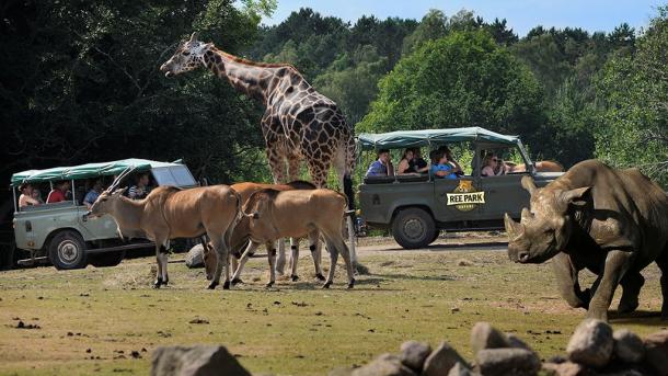 Ree Park Safari