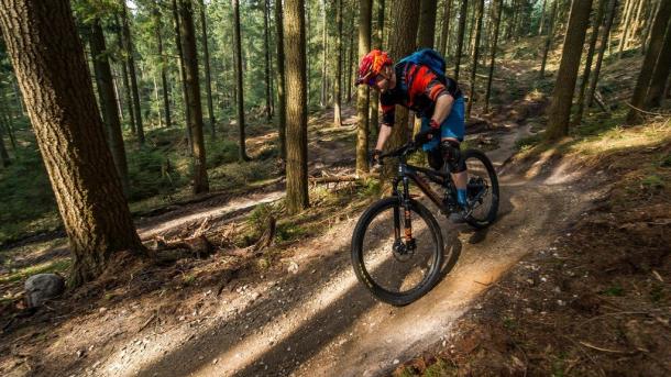 MTB i Vesterskoven i Silkborg