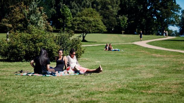 Veninder i Mindeparken i Aarhus