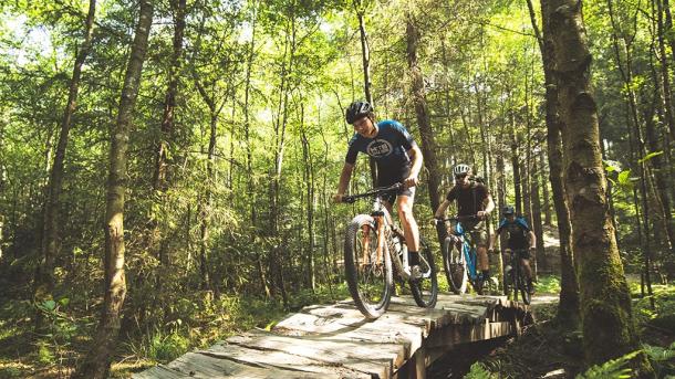 Venner på mountainbike - MTB i Silkeborg Skovene
