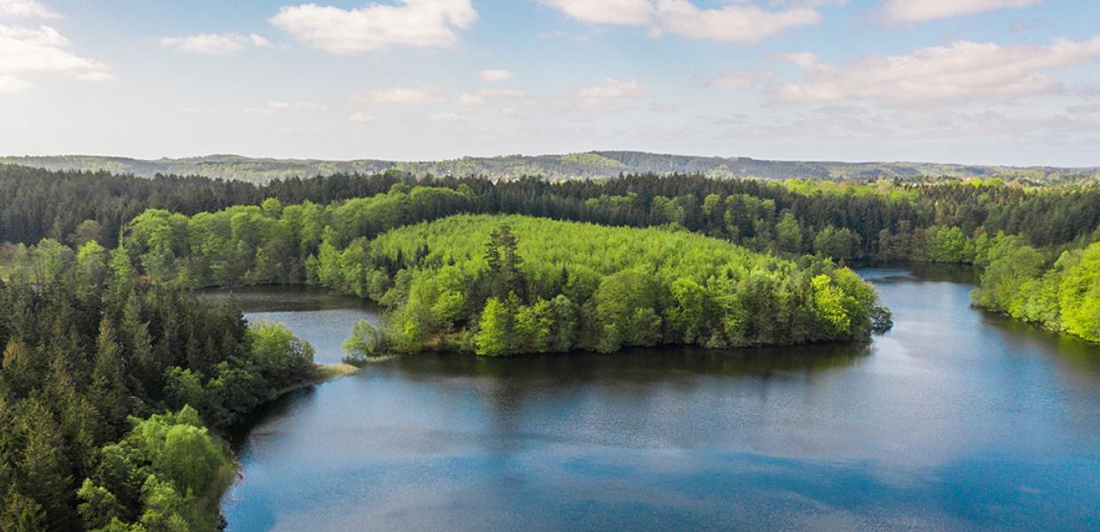 Avnsø og Gudenåen ved Silkeborg