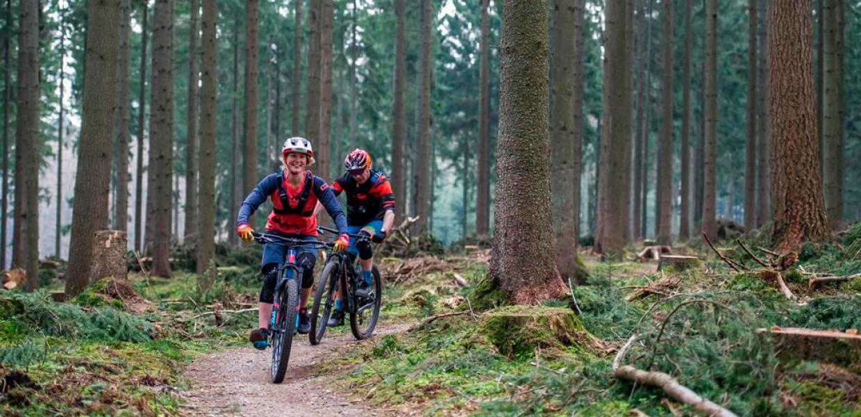 MTB gennem grandskov i Søhøjlandet