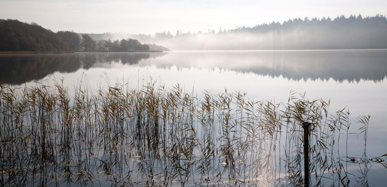 Almind Sø ved Silkeborg