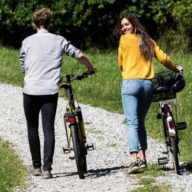 glans Morgenøvelser Katedral På cykel i Aarhus | VisitAarhus