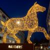 Hingsten i Randers pyntet til jul