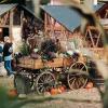 Halloween i Tivoli Friheden i Aarhus