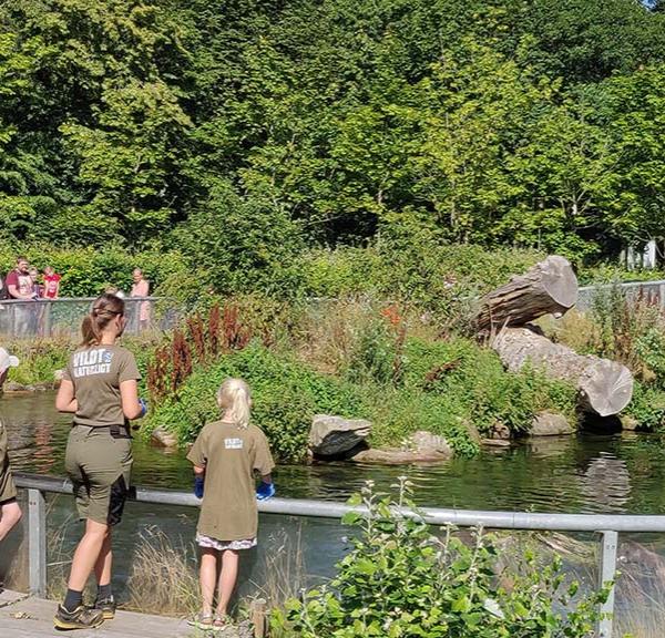 Odderfodring i AQUA Akvarium & Dyrepark Silkeborg