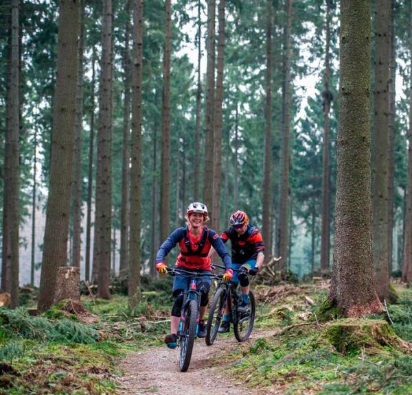 MTB gennem grandskov i Søhøjlandet ved Silkeborg