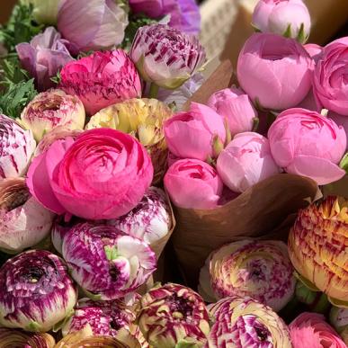 Blomster fra Ingerslev Boulevards marked