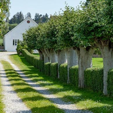 Molshøjgård ferielejligheder på Djursland