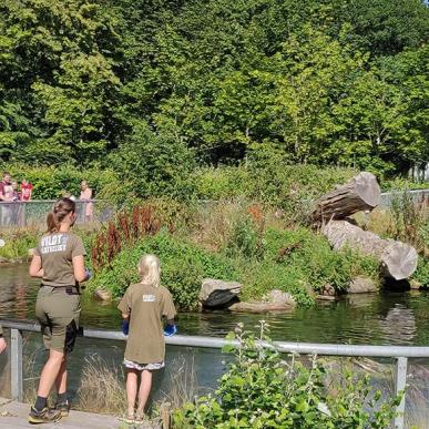 Odderfodring i AQUA Akvarium & Dyrepark Silkeborg