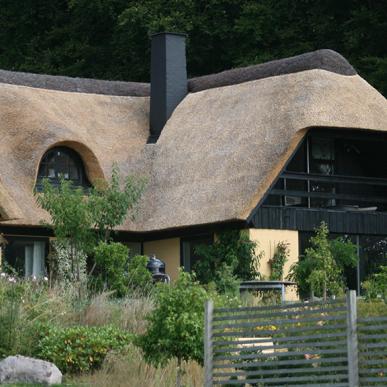 Koruplund Vingård og B&B ved Ryomgård på Djursland