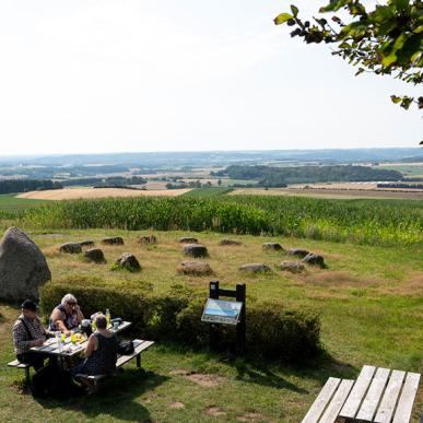 Yding Skovhøj ved Skanderborg
