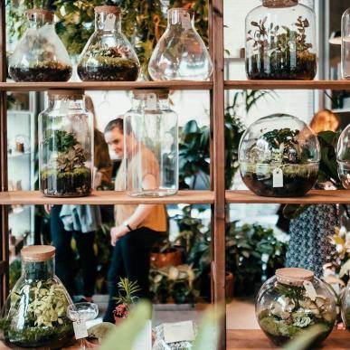 Plantecaféen Plukk i Aarhus