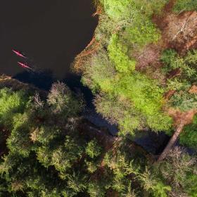 Dronefoto af to personer i kajakker på en sø med skov rundt om