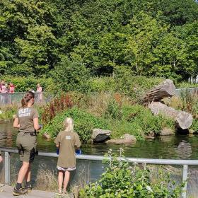 Odderfodring i AQUA Akvarium & Dyrepark Silkeborg