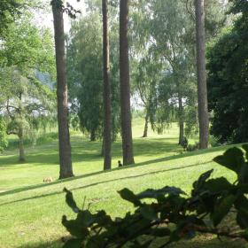 Dyrehaven i Skanderborg