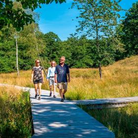 Vandre ved de fem halder i Viborg