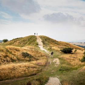 Trehøje i Mols Bjerge på Djursland