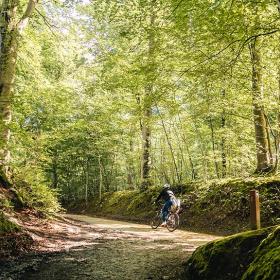 Marselisborg Skov i Aarhus