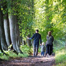 Familietur i skoven i Viborg