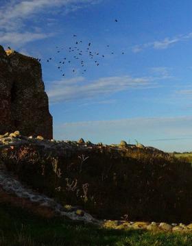 Kalø Slotsruin på Djursland