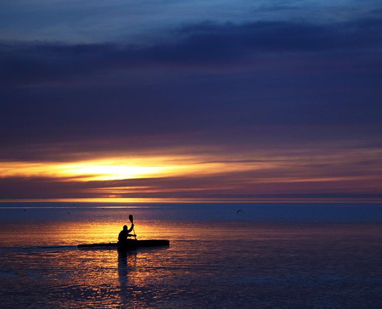 Kajakroer i Aarhusbugten ved solnedgang