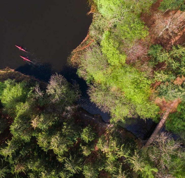 Dronefoto af to personer i kajakker på en sø med skov rundt om