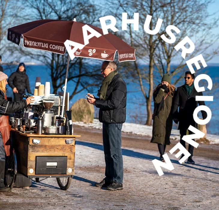 Aarhusregionen Vinter